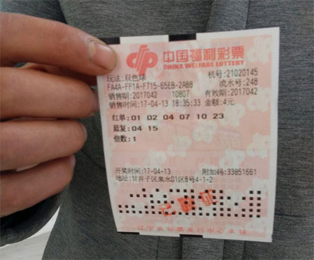 《主人》电影免费观看全集