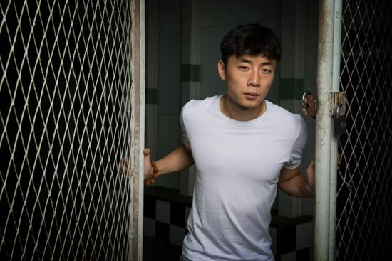 免播放器在线