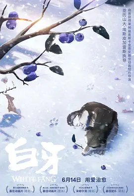 不卡在线