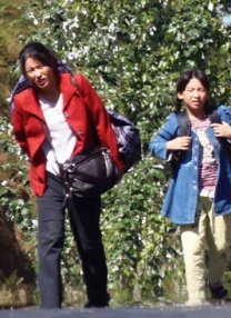 白丝草逼
