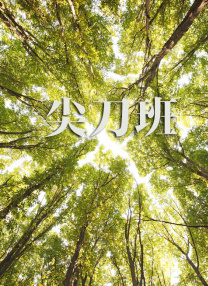 日本免费v片一二三区