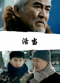 日韩高清在线二区