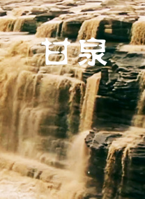 精品91视频