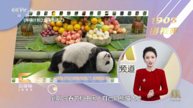国产h在线观看